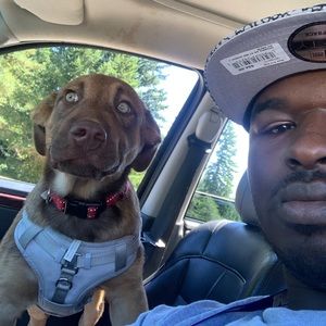 Meet your Posher, Jody